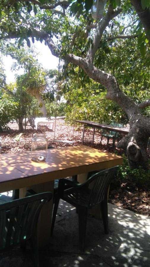 Vila Casa Los Mangos Tijarafe Exteriér fotografie